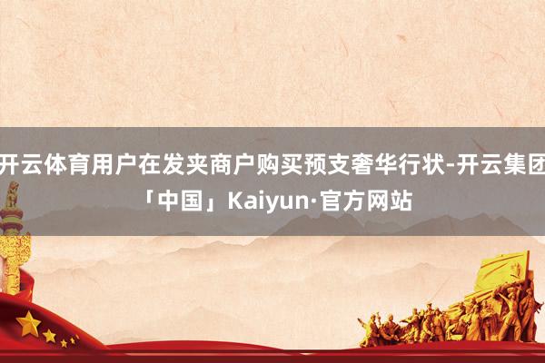 开云体育用户在发夹商户购买预支奢华行状-开云集团「中国」Kaiyun·官方网站