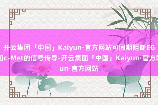 开云集团「中国」Kaiyun·官方网站可同期阻断EGFR和c-Met的信号传导-开云集团「中国」Kaiyun·官方网站